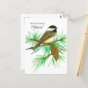 Maine Chickadee Pinecone Postkarte
