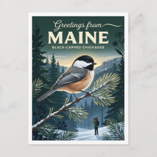 Maine Coastal Fichten-Tannen-Wälder Bar Harbor Rei Postkarte