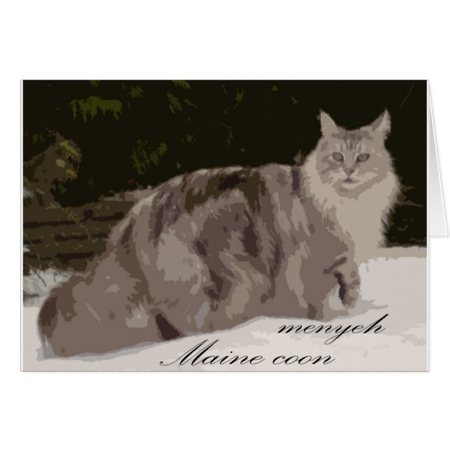 Maine Coon (Vorderseite (Horizontal))