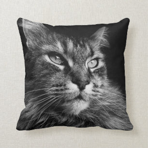 Maine Coon Cat 16 x 16 Kissen