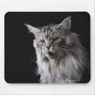 Maine Coon Cat 2 Mousepad