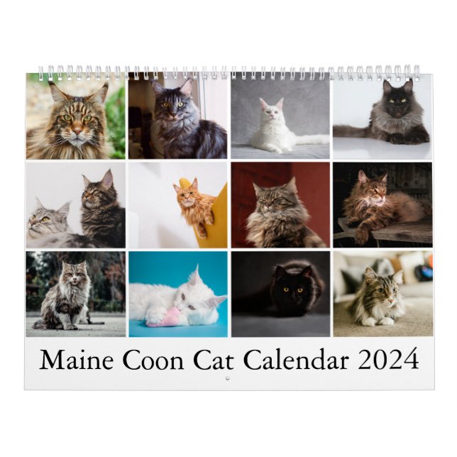 Maine Coon Cat Calendar Kalender (Titelbild)