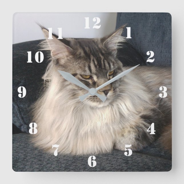Maine Coon Cat Clock Quadratische Wanduhr (Vorderseite)