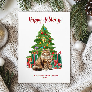 Maine Coon Cat Familie Weihnachten