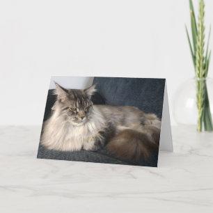 Maine Coon Cat Geburtstagkarte Karte
