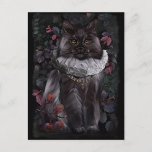Maine Coon cat in an ancient aristocratic costume Postkarte