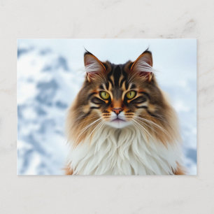 Maine Coon Cat in einem Portrait der Schneewilderh Postkarte