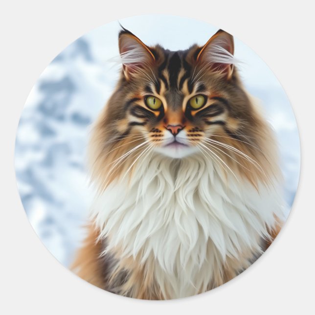 Maine Coon Cat in einem Portrait der Schneewilderh Runder Aufkleber (Vorderseite)