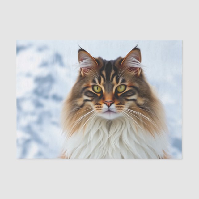 Maine Coon Cat in einem Portrait der Schneewilderh Seidenpapier (Vorderseite)