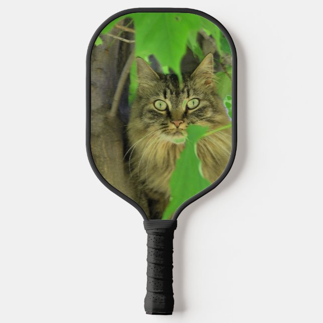 Maine Coon Cat in Tree Pickleball Schläger (Rückseite)