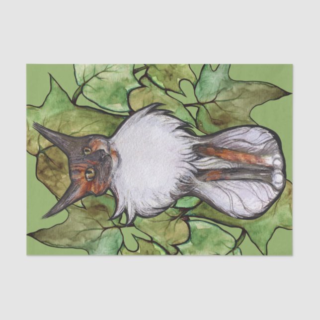 Maine Coon Cat Ivy Dilute Calico Seidenpapier (Vorderseite)