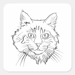 Maine Coon Cat Line Art Quadratischer Aufkleber
