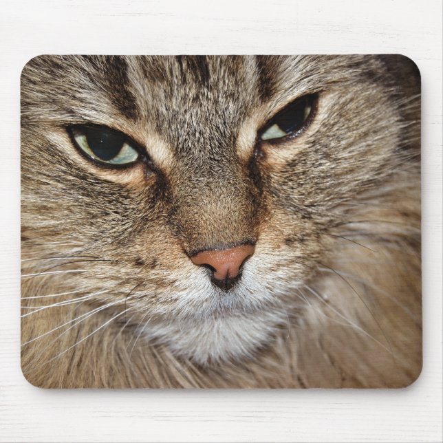 Maine Coon Cat Macro Mousepad (Vorne)