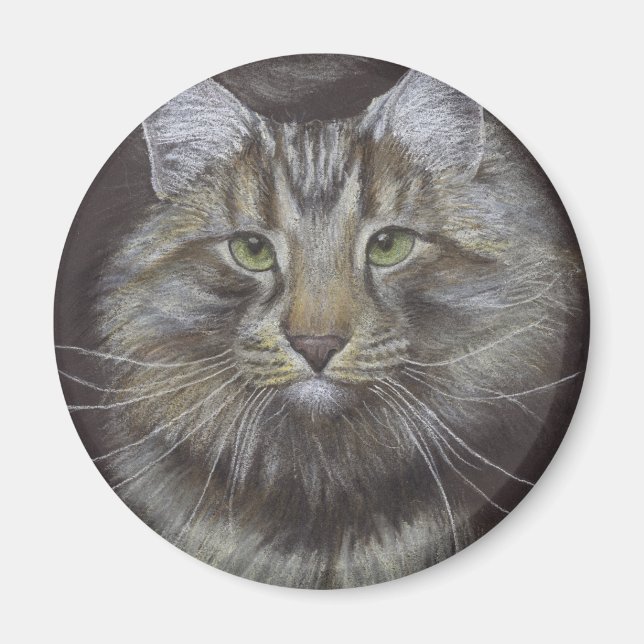 Maine Coon Cat Magnet (Vorne)