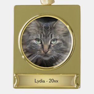 Maine Coon Cat Name und Jahr Banner-Ornament Gold
