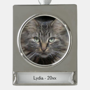 Maine Coon Cat Name und Jahr Banner-Ornament Silber