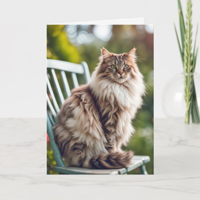 Maine Coon Cat On Sessel für Geburtstag Karte (Vorderseite)