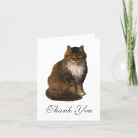Maine Coon Cat Painted Portrait Art Vielen Dank