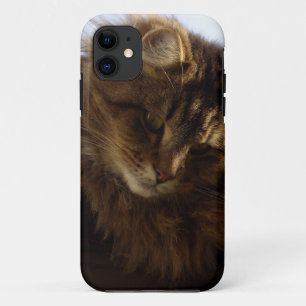 Maine Coon Cat Pet Phone Case