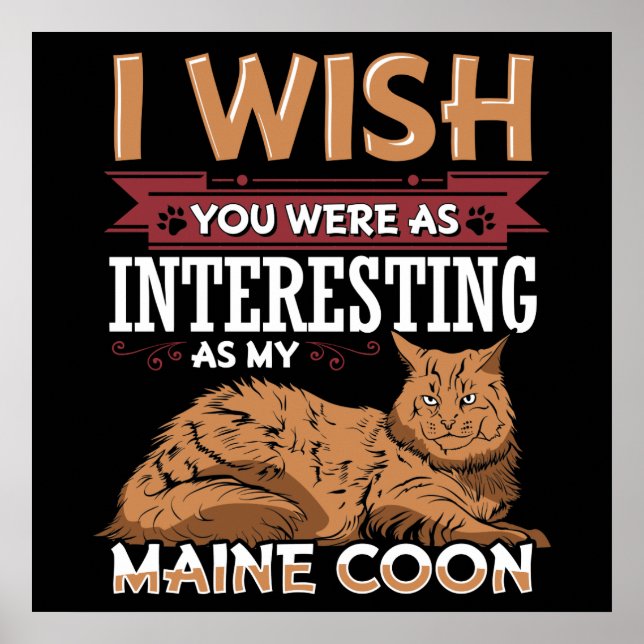 Maine Coon Cat Poster (Vorne)