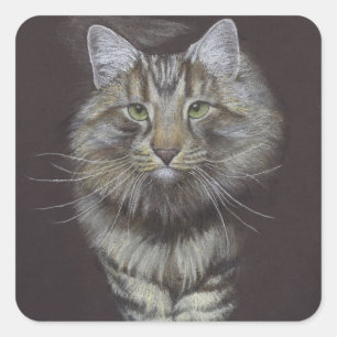Maine Coon Cat Quadratischer Aufkleber