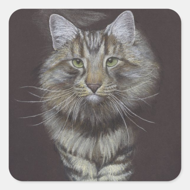 Maine Coon Cat Quadratischer Aufkleber (Vorderseite)