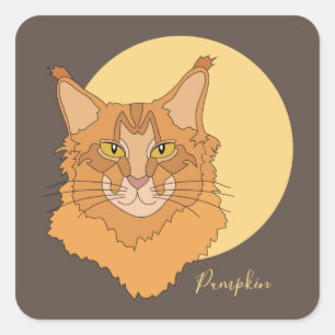 Maine Coon Cat Quadratischer Aufkleber