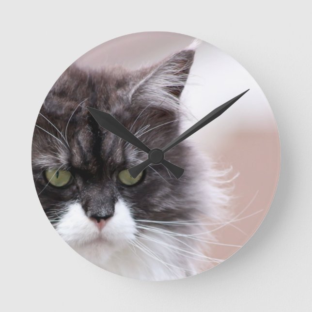Maine Coon Cat Runde Wanduhr (Vorderseite)