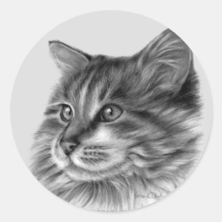 Maine Coon Cat Runder Aufkleber