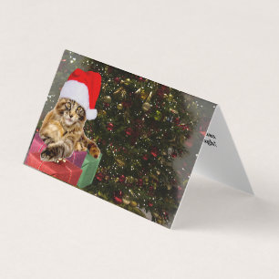 Maine Coon Cat Santa & Gifts Weihnachtsbaum Hinter