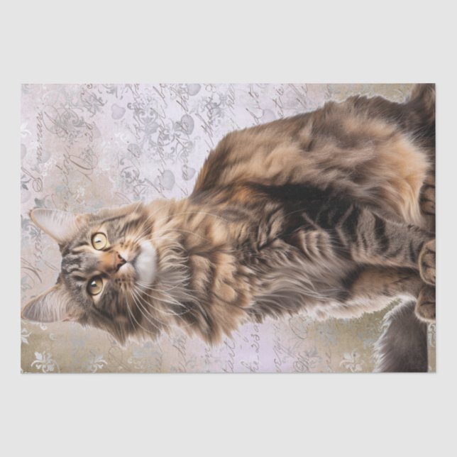 Maine Coon Cat Seidenpapier (Vorderseite)