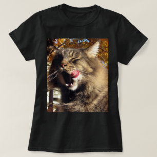 Maine Coon Cat T - Shirt