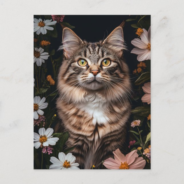 Maine Coon Cat Umgeben von Blume Postkarte (Vorderseite)