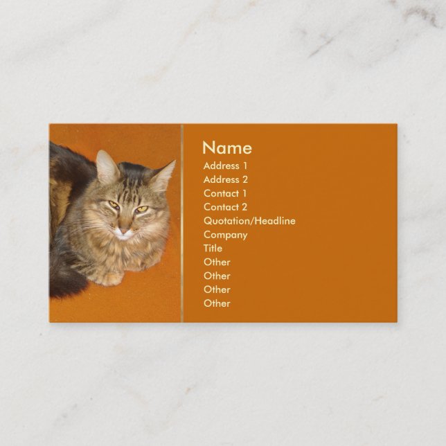 Maine Coon Cat Visitenkarte (Vorderseite)