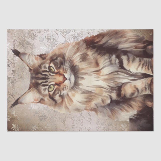 Maine Coon Cat Watercolor Seidenpapier (Vorderseite)
