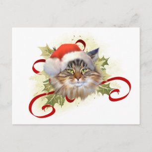 Maine Coon Cat Weihnachtspostkarte Feiertagspostkarte