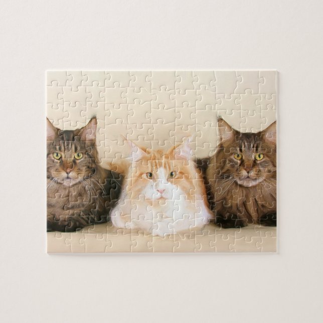 Maine Coon Cats Puzzle (Horizontal)