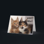 MAINE COON CATS SAY **30?** YOU? BIRTHDAY CARD KARTE<br><div class="desc">THESE TWO MAINE COON CATS ARE CUTE SO THEY ARE ON FEW OF MY CARDS HERE AT OverWhatHill WITH DIFFERENT verses and of COURSE BUT YOU CAN CHANGE THE AGE IN SECOND OR ANYTHING ON MY CARDS IF YOU WISH. THANKS FOR STOPPING BY ONE OF MY NINE STORES!!!</div>