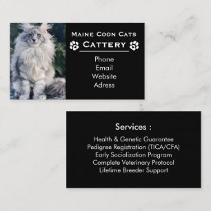 Maine Coon Cattery und professioneller Züchter Sch Visitenkarte
