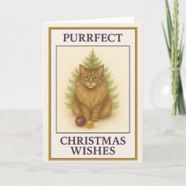 Maine Coon Christmas Card - "Boston" Purfect Cat Feiertagskarte