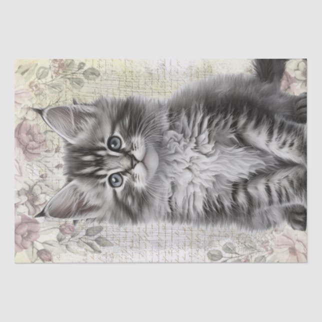 Maine Coon Floral Cat Kitten Seidenpapier (Vorderseite)