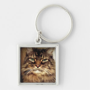 Maine Coon Foto / mürrische Katze  Schlüsselanhänger