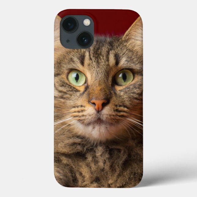 Maine Coon für Weihnachten mit Sammler Case-Mate iPhone Hülle (Rückseite)