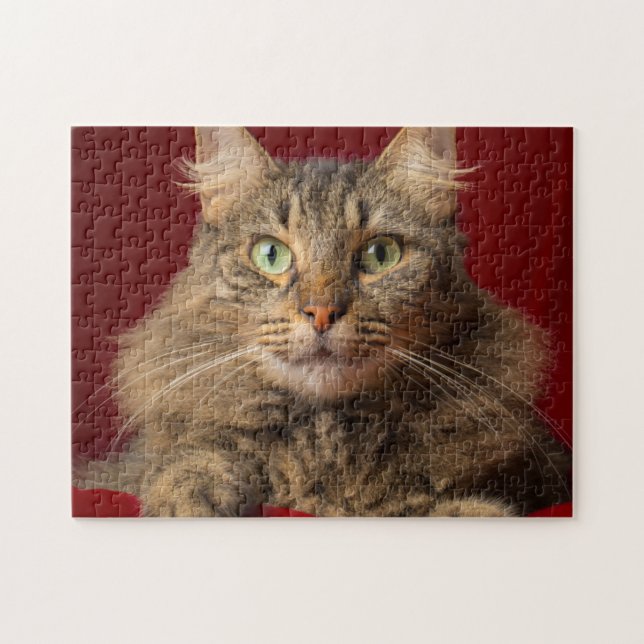 Maine Coon für Weihnachten mit Sammler Puzzle (Horizontal)