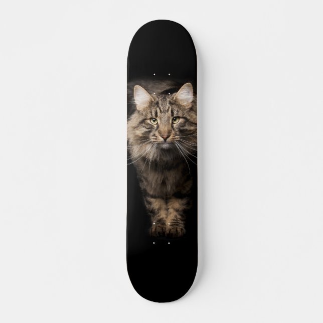 Maine Coon Großkatze Skateboard (Vorne)
