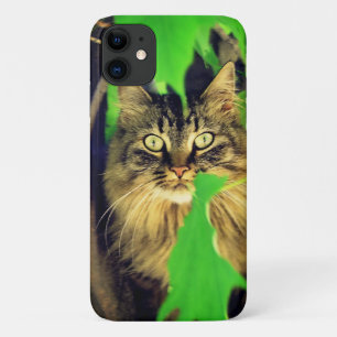 Maine Coon im Baum Case-Mate iPhone Hülle