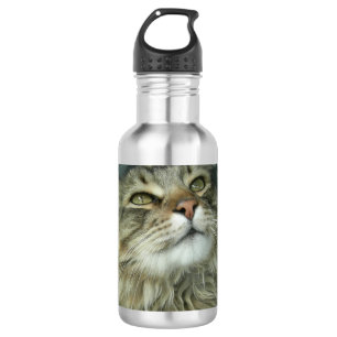 Maine Coon Kätzchen Edelstahlflasche