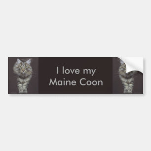Maine Coon Katze Autoaufkleber