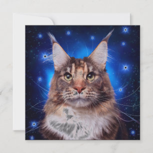 Maine Coon Katze Blau Hintergrund Sterne Einladung