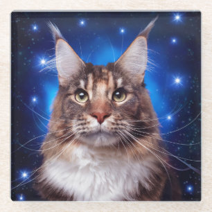 Maine Coon Katze Blau Hintergrund Sterne Glasuntersetzer